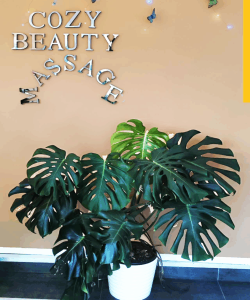 greenplant greenplant